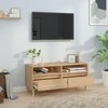 TV staliukas Televizoriaus spintelė, ąžuolo, 100x34,5x44,5cm, mediena