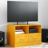 TV staliukas Televizoriaus spintelė, garstyčių geltona, 67x39x44cm, plienas