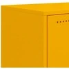 TV staliukas Televizoriaus spintelė, garstyčių, 100,5x39x60,5cm, plienas