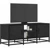 TV staliukas Televizoriaus spintelė, juoda, 100x35x41cm, mediena ir metalas
