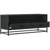 TV staliukas Televizoriaus spintelė, juoda, 100x34,5x40cm, mediena/metalas