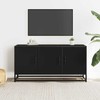 TV staliukas Televizoriaus spintelė, juoda, 100x35x50cm, mediena ir metalas