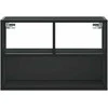 TV staliukas Televizoriaus spintelė, juoda, 60x31x39,5cm, mediena ir metalas