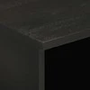 TV staliukas Televizoriaus spintelė, juoda, 100x33x46cm, mango masyvas