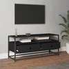 TV staliukas Televizoriaus spintelė, juoda, 100x35x45cm, apdirbta mediena
