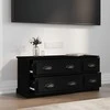 TV staliukas Televizoriaus spintelė, juoda, 100x35,5x45cm, apdirbta mediena