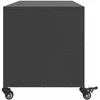 TV staliukas Televizoriaus spintelė, juoda, 100,5x39x43,5cm, plienas