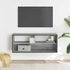 TV staliukas Televizoriaus spintelė, pilka, 100x31x39,5cm, mediena/metalas