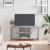 TV staliukas Televizoriaus spintelė, pilka ąžuolo, 100x40x50cm, mediena