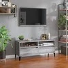 TV staliukas Televizoriaus spintelė, pilka ąžuolo, 100x34,5x44,5cm, mediena