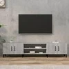 TV staliukas Televizoriaus spintelė, pilka ąžuolo, 180x31,5x40cm, mediena
