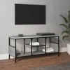 TV staliukas Televizoriaus spintelė, pilka, 100x35x45cm, mediena ir geležis