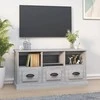 TV staliukas Televizoriaus spintelė, pilka ąžuolo, 100x35x50cm, mediena