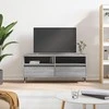 TV staliukas Televizoriaus spintelė, pilka ąžuolo, 100x34,5x44,5cm, mediena