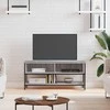 TV staliukas Televizoriaus spintelė, pilka ąžuolo, 100x35x45cm, mediena