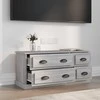 TV staliukas Televizoriaus spintelė, pilka ąžuolo, 100x35,5x45cm, mediena