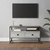 TV staliukas Televizoriaus spintelė, pilka ąžuolo, 80x35x45cm, mediena