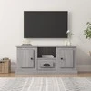 TV staliukas Televizoriaus spintelė, pilka ąžuolo, 100x35,5x45cm, mediena