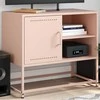 TV staliukas Televizoriaus spintelė, rožinės spalvos, 68x39x60,5cm, plienas