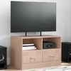 TV staliukas Televizoriaus spintelė, rožinės spalvos, 67x39x44cm, plienas