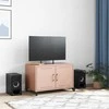 TV staliukas Televizoriaus spintelė, rožinės spalvos, 68x39x43,5cm, plienas