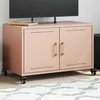 TV staliukas Televizoriaus spintelė, rožinės spalvos, 68x39x43,5cm, plienas