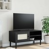 TV staliukas Televizoriaus spintelė SENJA, juoda, 106x40x49cm, pušis