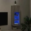 TV staliukas TV spintelė su LED lemputėmis, pilka ąžuolo, 30,5x30x90cm