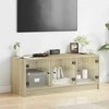 TV staliukas TV spintelė su stiklinėmis durelėmis, ąžuolo, 102x37x42cm
