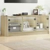 TV staliukas TV spintelė su stiklinėmis durelėmis, ąžuolo, 102x37x42cm