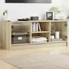 TV staliukas TV spintelė su stiklinėmis durelėmis, ąžuolo, 102x37x42cm