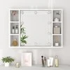 Veidrodinė spintelė su LED apšvietimu, balta, 76x15x55cm