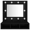 Veidrodinė spintelė su LED apšvietimu, juoda, 60x31,5x62cm
