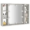 Veidrodinė spintelė su LED, betono pilka, 76x15x55cm