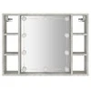 Veidrodinė spintelė su LED, betono pilka, 76x15x55cm