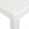 Sodo stalas, baltas, 220x90x72cm, plastikas, ratano imitacija