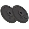 Svoriai, 2vnt., 2x10kg, ketus