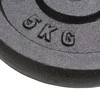 Svoriai, 4vnt., 2x10kg+2x5kg, ketus