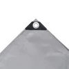 Tentas, pilkos spalvos, 3x5m, 650g/m²