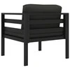 Vienvietė sofa su pagalvėlėmis, antracito spalvos, aliuminis