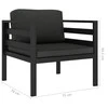 Vienvietė sofa su pagalvėlėmis, antracito spalvos, aliuminis