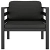 Vienvietė sofa su pagalvėlėmis, antracito spalvos, aliuminis