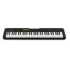 Sintezatorius Casio CT-S100 su akompan.