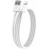 EGA D1 Lightning 1m Baltas