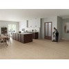Electrolux ZE156