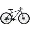 FORMULA 29" THOR DD CS 17" Dark Pilkas / Sidabrinis 2025