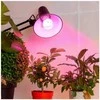 Visional LEMPA LED E27 18W AUGALAMS