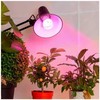 Visional LEMPA LED E27 24W AUGALAMS