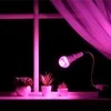 Visional LEMPA LED E27 24W AUGALAMS