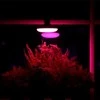 Visional 15W UFO Filament Fito LED Audzēšanas Spuldze A60 E27 Pilnīgs Spektrs 28.39 µmol/s Augu Augšanas Gaisma